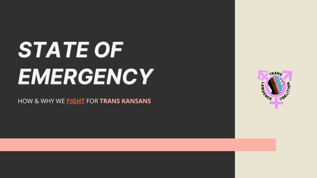 State of Emergency: Mass Meeting&nbsp;Recap